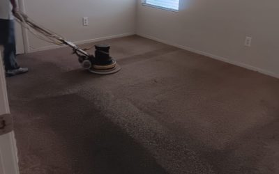 Cleaning Carpets Yourself vs. Professional: Fresh Floors for Your Fighting Chance