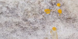 clean stains out of carpet