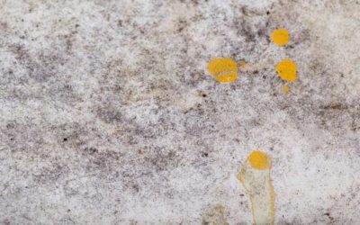 Ultimate Guide: How to Clean Stubborn Stains Out of Carpet