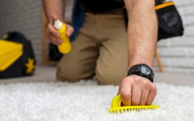 Seasonal House Cleaning Checklist: Comprehensive Guide